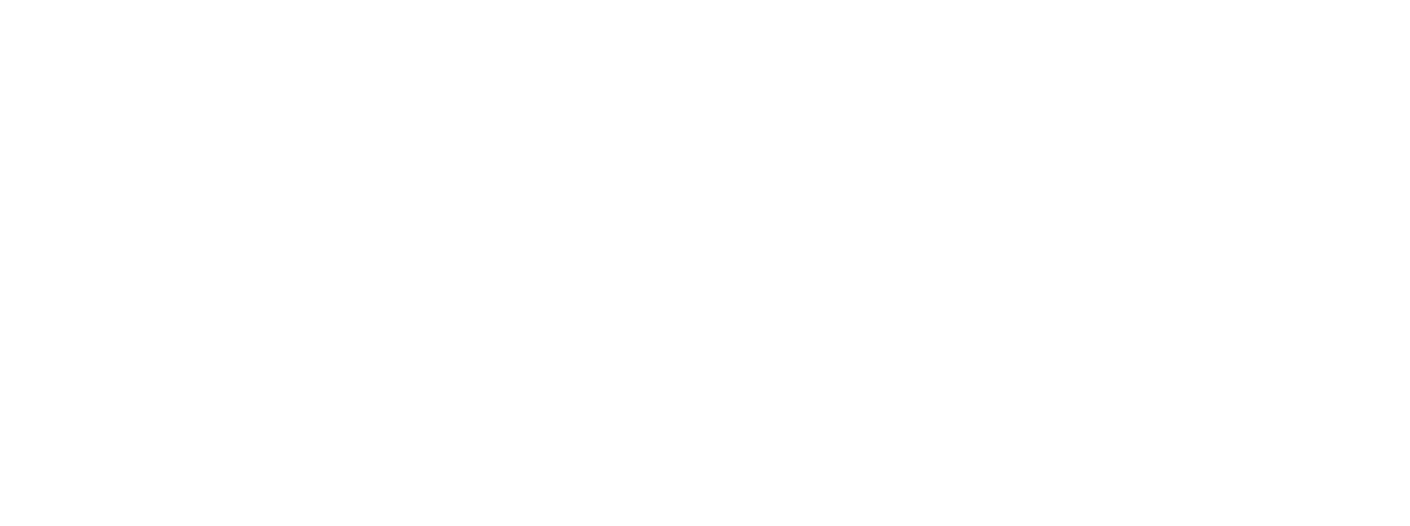 VitaPasso